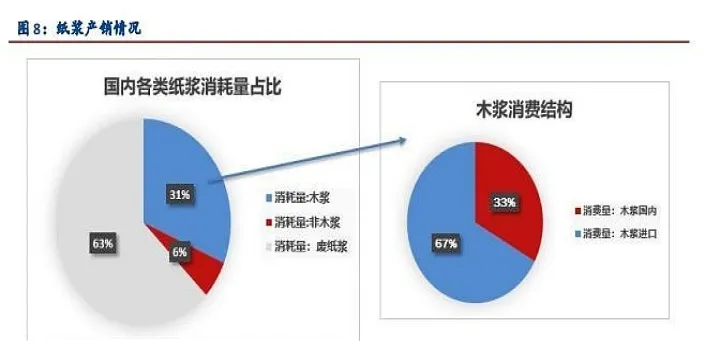 纸浆期货近期如何(纸浆期货近期如何交易)_https://www.hougads.com_恒指学院_第1张