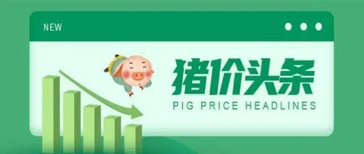 猪价上涨遇上生猪期货(猪价上涨养猪股票会涨吗)_https://www.hougads.com_恒指学院_第1张