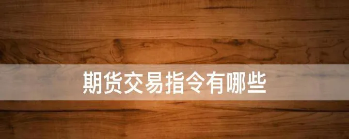 期货交易的指令类型(期货常用交易指令)_https://www.hougads.com_恒指期货_第1张