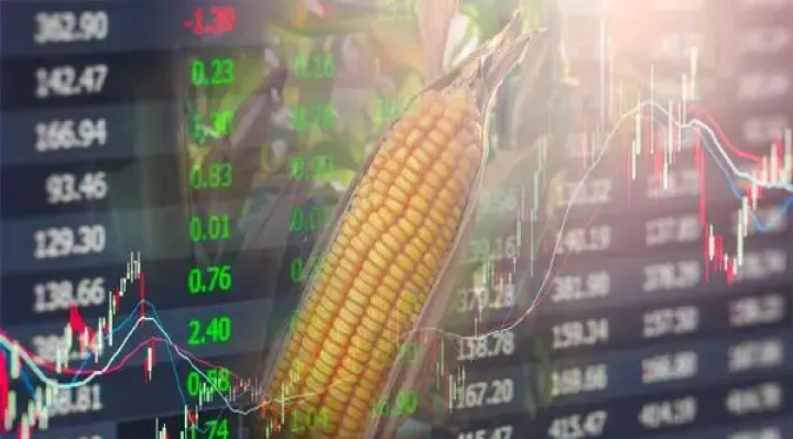 玉米期货持仓过夜要收费吗(玉米期货过夜费是怎么收)_https://www.hougads.com_恒指学院_第1张