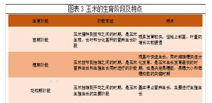 玉米的期货供求因素分(玉米期货的供求关系)_https://www.hougads.com_恒指学院_第1张