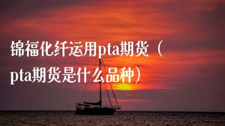 期货pta需要关注哪些品种(pta期货关联品种)_https://www.hougads.com_恒指期货_第1张