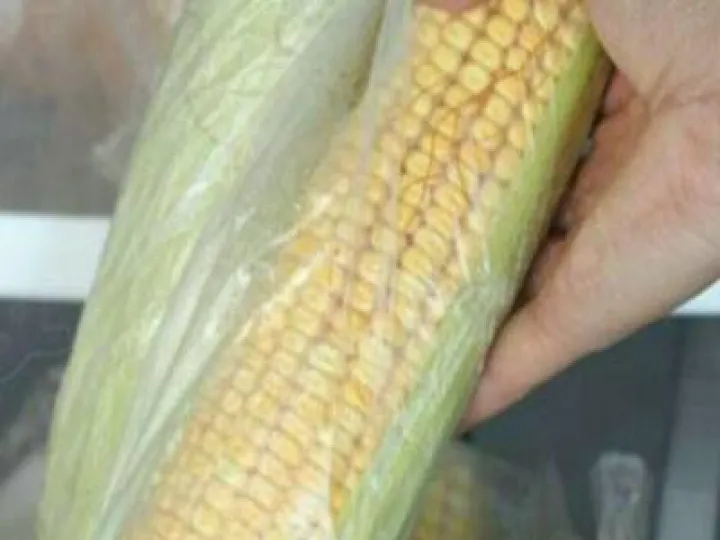 怎么做好玉米期货(玉米期货好做吗)_恒指期货_第1张_厚德恒指期货直播室 怎么做好玉米期货(玉米期货好做吗)_https://www.hougads.com_恒指期货_第1张