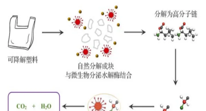可降解塑料与塑料期货的区别(可降解塑料原料的期货)_https://www.hougads.com_恒指学院_第1张
