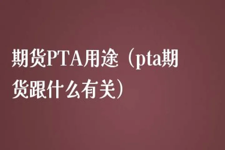 期货pta投资(pta期货怎么样)_https://www.hougads.com_恒指直播室_第1张