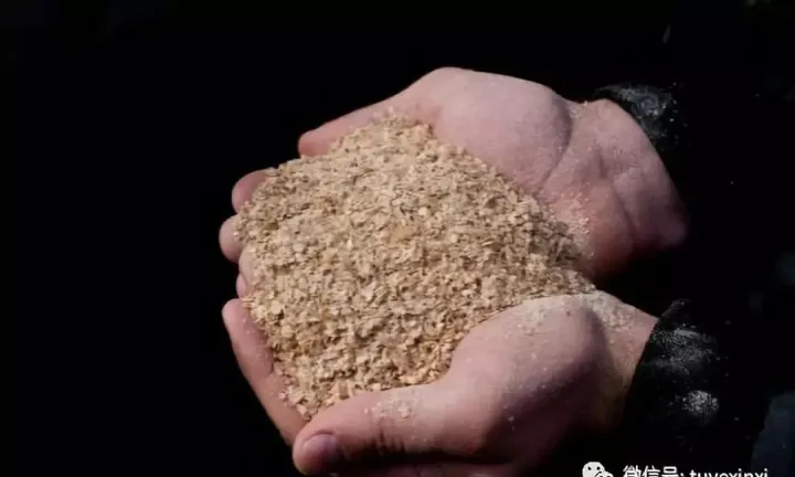 豆粕期货行情直播(期货豆粕最新行情直播)_https://www.hougads.com_恒指学院_第1张