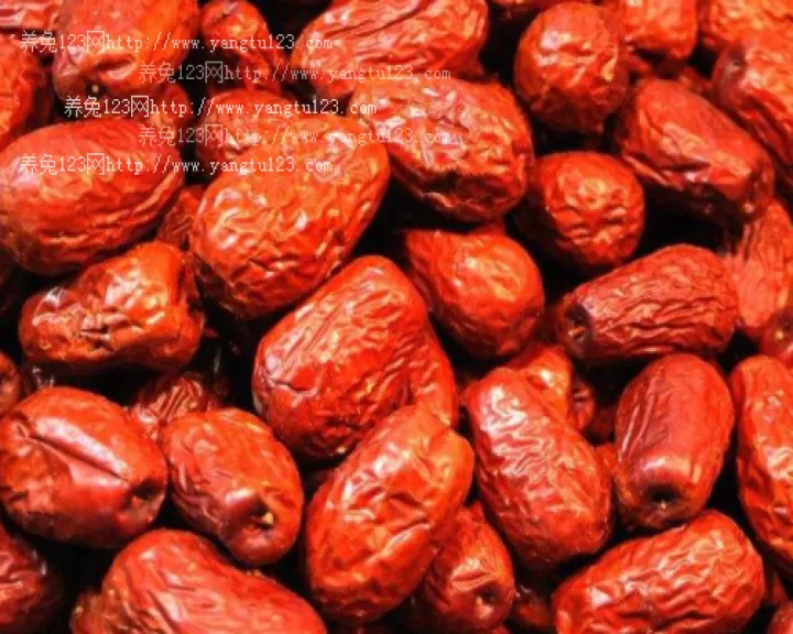 红枣期货市场为什么两极分化(红枣期货最新行情)_https://www.hougads.com_恒指直播室_第1张