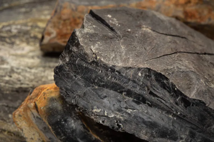 铁矿石期货为何一直跌(铁矿石期货最新行情)_https://www.hougads.com_恒指期货_第1张