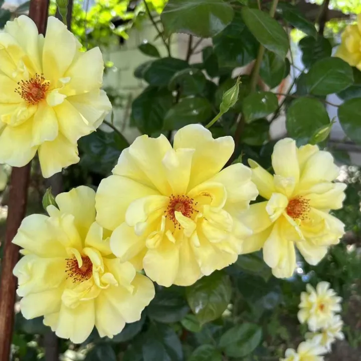 上海期货交易平今手续费(上海期货交易门槛)_恒指直播室_第1张_厚德恒指期货直播室 上海期货交易平今手续费(上海期货交易门槛)_https://www.hougads.com_恒指直播室_第1张