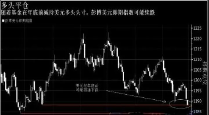 长头寸期货合约(解释期货长头寸与短头寸的区别)_https://www.hougads.com_恒指期货_第1张