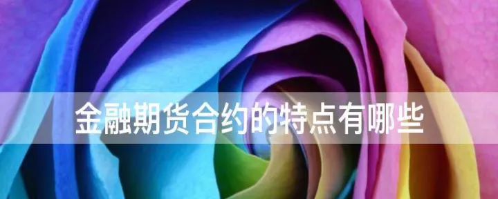 期货市场合约商品的特点(期货市场合约商品的特点是什么)_https://www.hougads.com_恒指直播室_第1张