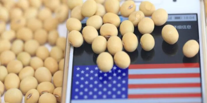 大豆期货几月份上涨最快(美大豆期货即时行情最新)_https://www.hougads.com_恒指学院_第1张