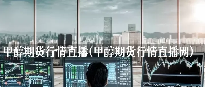 甲醇期货行情指导(甲醇期货行情指导意见)_https://www.hougads.com_恒指期货_第1张