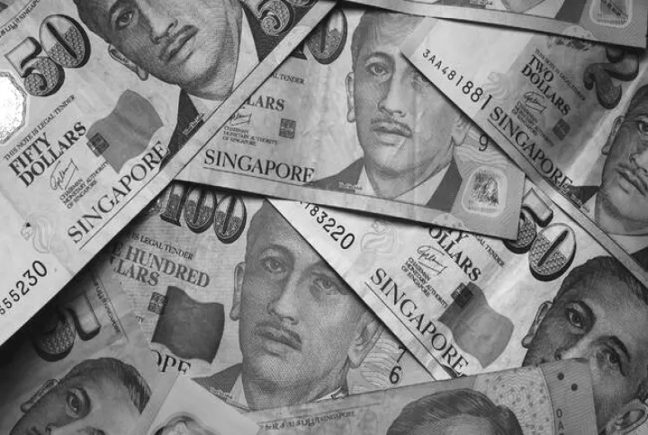 新加坡ig期货(新加坡hs50期货)_https://www.hougads.com_恒指学院_第1张