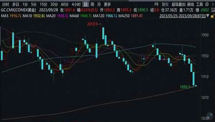 盐期货实时行情(铅期货实时行情走势图)_https://www.hougads.com_恒指学院_第1张