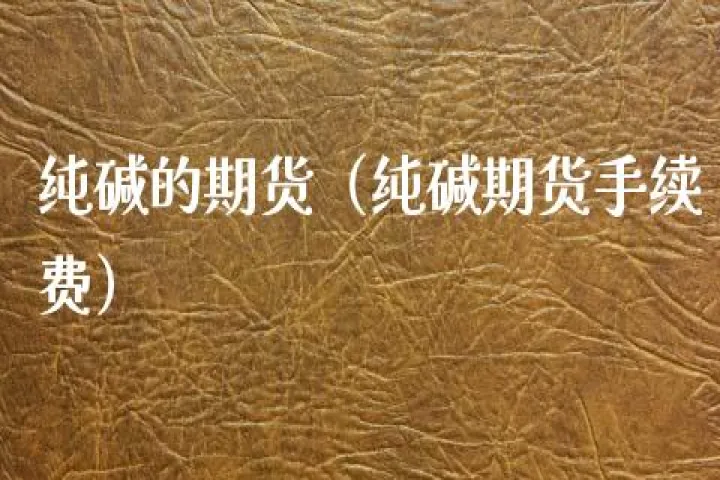 期货纯碱玻璃属于哪个板块的(期货玻璃纯碱属于什么系)_https://www.hougads.com_恒指学院_第1张