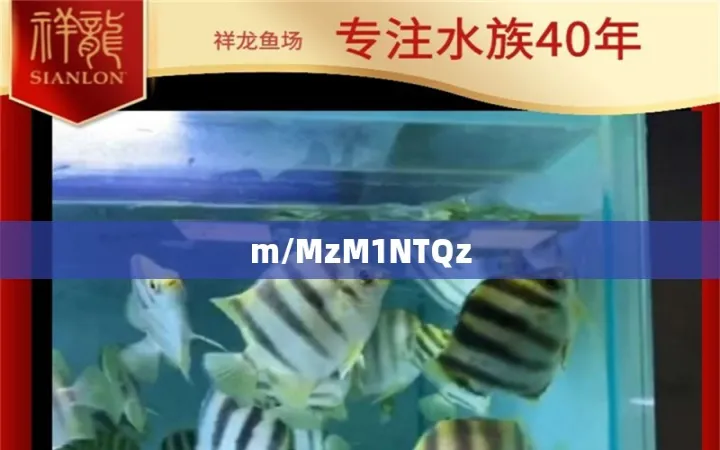 郑州期货市场在哪里(郑州哪里有期货)_https://www.hougads.com_恒指直播室_第1张