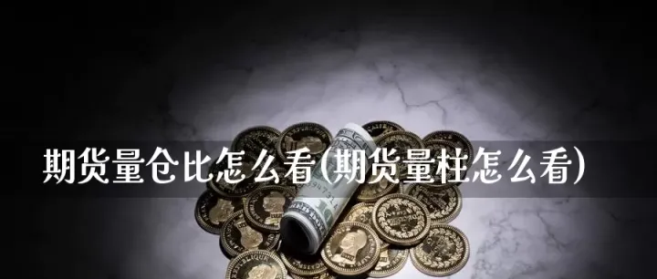 如何看期货仓单(如何看期货仓单明细)_https://www.hougads.com_恒指期货_第1张
