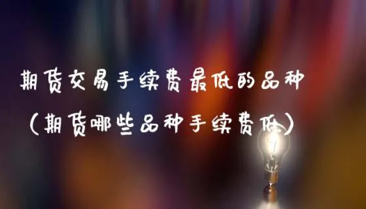 交易费用最低的期货品种(期货价格最低的是哪个品种)_https://www.hougads.com_恒指直播室_第1张