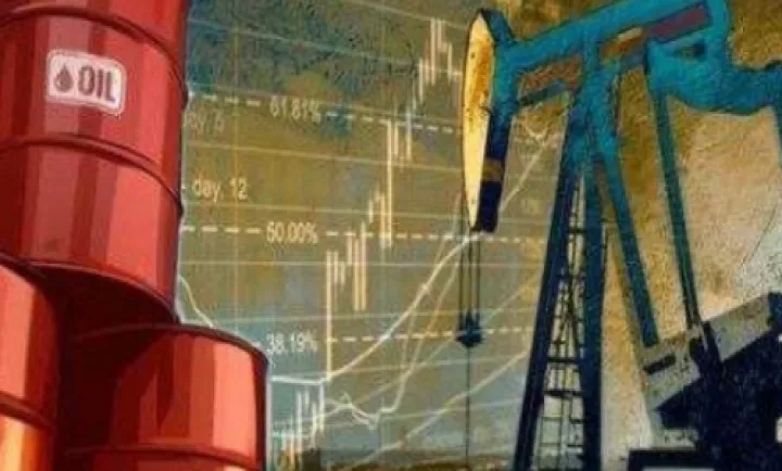 期货菜油和郑油的区别(期货豆油和郑油有什么区别)_https://www.hougads.com_恒指期货_第1张