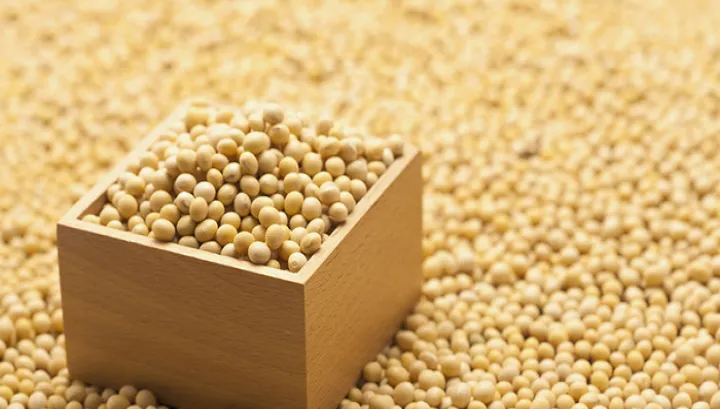 美国农产品期货都有什么意思(美国农产品期货开盘时间)_https://www.hougads.com_恒指直播室_第1张