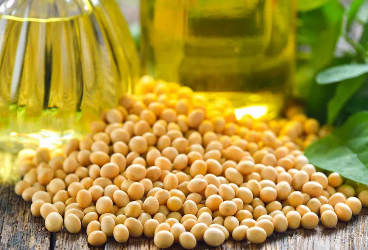 豆油期货高位震荡(豆油期货为什么涨)_恒指期货_第1张_厚德恒指期货直播室 豆油期货高位震荡(豆油期货为什么涨)_https://www.hougads.com_恒指期货_第1张