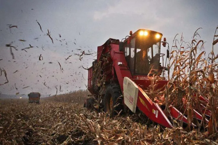 美国农业期货怎么运用(美国农业期货怎么运用货币)_https://www.hougads.com_恒指学院_第1张