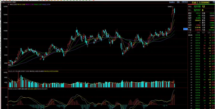 棕榈油期货历史最高(棕榈油期货品种)_https://www.hougads.com_恒指学院_第1张