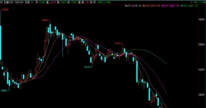 生猪期货跌超6创历史新低(生猪期货跌跌不休)_https://www.hougads.com_恒指期货_第1张