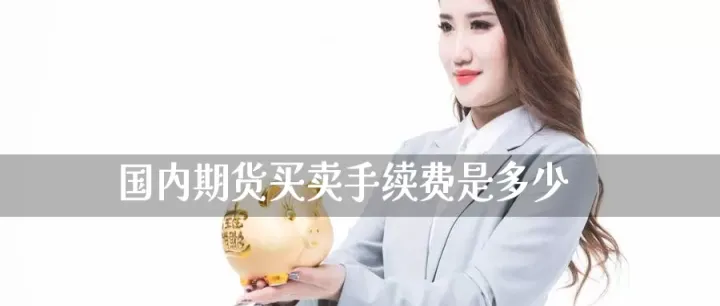 期货怎么知道手续费是多少(如何查期货手续费)_https://www.hougads.com_恒指学院_第1张