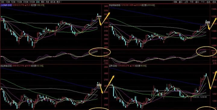 期货后期走势如何看涨停(期货后期走势如何)_https://www.hougads.com_恒指直播室_第1张