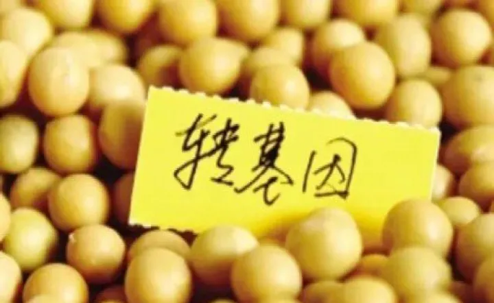 cbot大豆期货的标准合约(cbot大豆期货大豆行情)_https://www.hougads.com_恒指学院_第1张