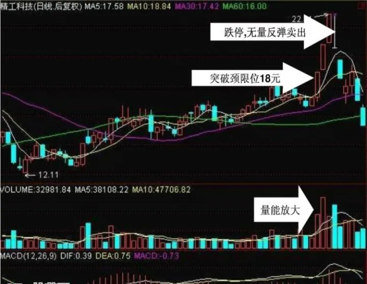期货短线投资技巧(期货的短线技巧)_https://www.hougads.com_恒指期货_第1张