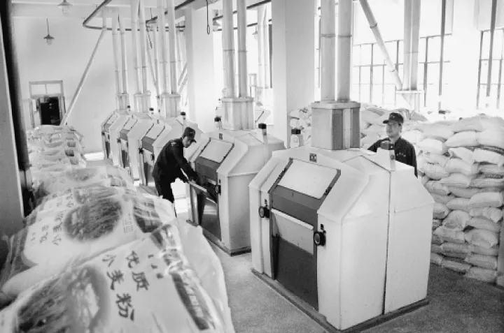 面粉期货在哪个交易所(国内面粉期货交易在哪里)_https://www.hougads.com_恒指学院_第1张