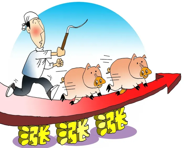 生猪期货出现过两个涨停板么(生猪期货涨停是什么意思)_恒指期货_第1张_厚德恒指期货直播室 生猪期货出现过两个涨停板么(生猪期货涨停是什么意思)_https://www.hougads.com_恒指期货_第1张