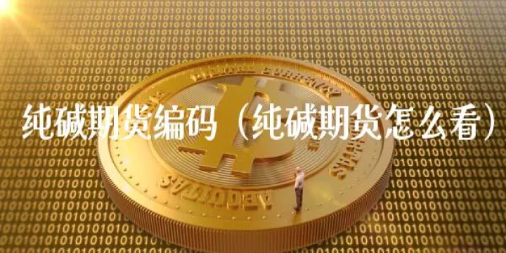 纯碱期货属于哪类(纯碱期货属于什么板块)_https://www.hougads.com_恒指学院_第1张