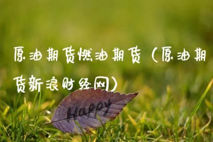 燃油与燃油期货(期货燃油是哪种燃油)_https://www.hougads.com_恒指学院_第1张