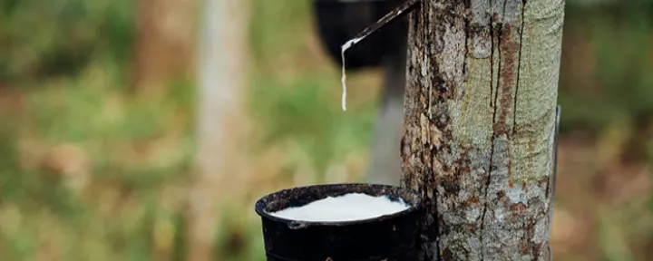 天胶期货已获批立项(天胶期货和橡胶期货)_https://www.hougads.com_恒指期货_第1张