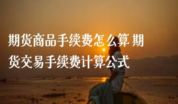 贵州农商期货手续费(成都期货交易手续费多少)_https://www.hougads.com_恒指直播室_第1张