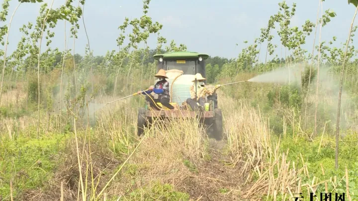芝麻期货什么时候交易(芝麻期货什么时候交易最好)_https://www.hougads.com_恒指直播室_第1张