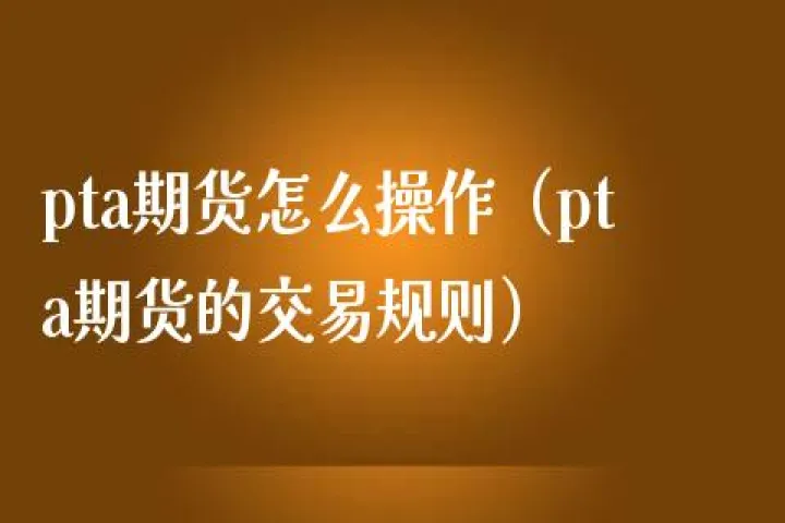 pta期货手续费标准(pta期货交易规则)_https://www.hougads.com_恒指直播室_第1张