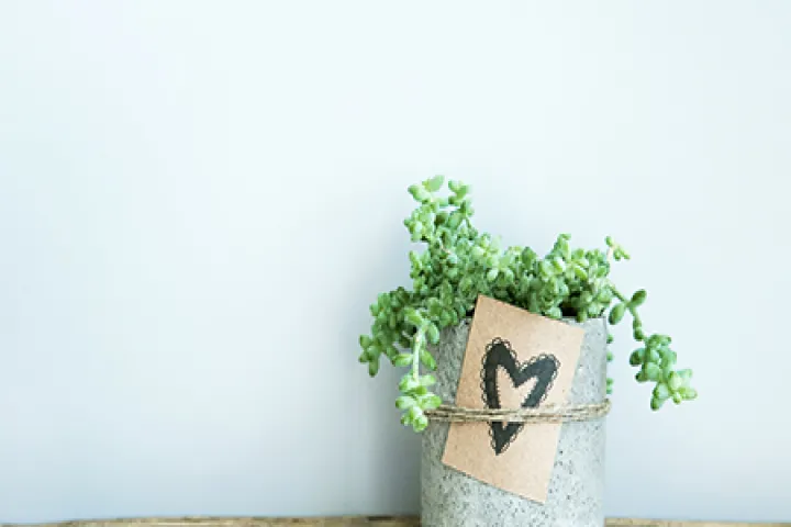 我做期货有错吗(做期货的人后来怎样了)_https://www.hougads.com_恒指期货_第1张