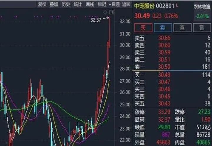 期货挂单能查到排位第几(期货挂单第二天有效吗)_https://www.hougads.com_恒指学院_第1张