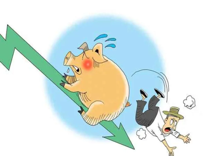 最早推出生猪活牛期货(生猪期货是活猪)_https://www.hougads.com_恒指期货_第1张