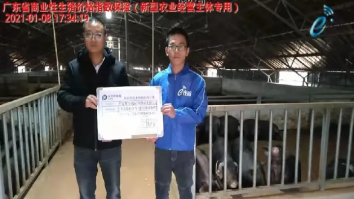 阿曼期货在哪个交易所(生猪期货在哪个交易所上市)_https://www.hougads.com_恒指期货_第1张