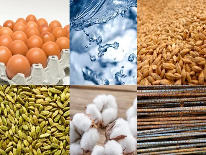 做什么品种期货(哪种商品期货容易做)_https://www.hougads.com_恒指学院_第1张