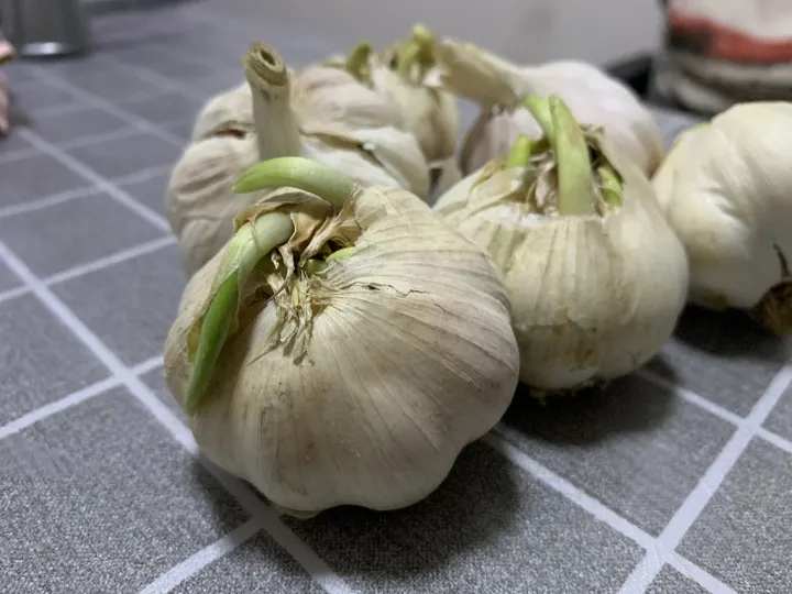 期货里怎么没有大蒜了(期货没有成交量是怎么回事)_恒指学院_第1张_厚德恒指期货直播室 期货里怎么没有大蒜了(期货没有成交量是怎么回事)_https://www.hougads.com_恒指学院_第1张