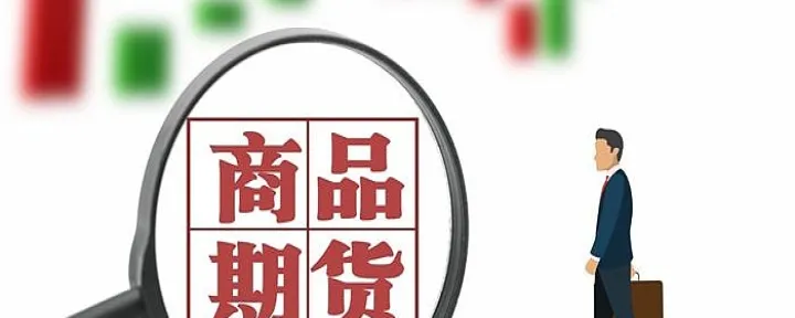 国内期货市场和品种的特点(国内期货哪些品种波动大)_https://www.hougads.com_恒指期货_第1张