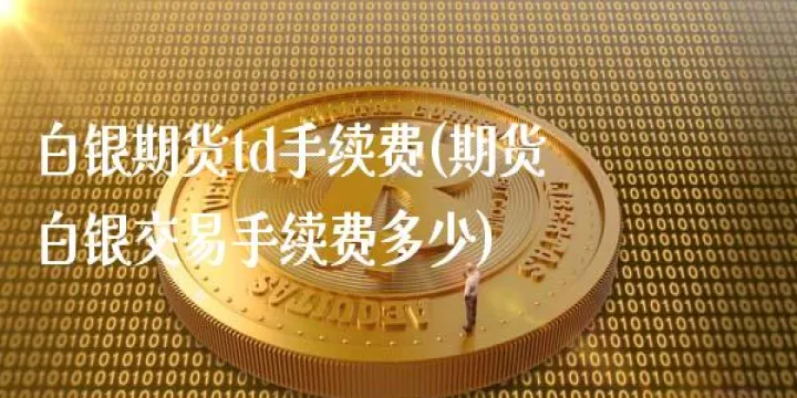 海通期货白银手续费(海通期货白银手续费怎么算)_https://www.hougads.com_恒指学院_第1张