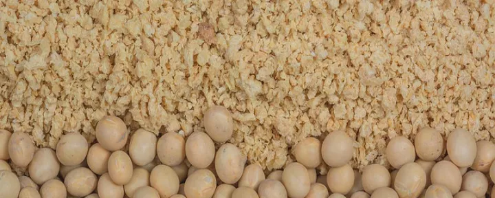 加拿大豆粕期货(cbot豆粕期货)_https://www.hougads.com_恒指直播室_第1张